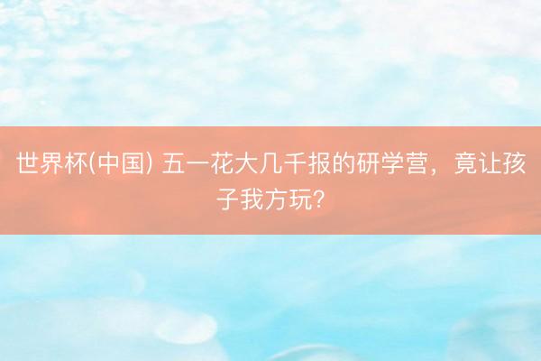 世界杯(中国) 五一花大几千报的研学营，竟让孩子我方玩？