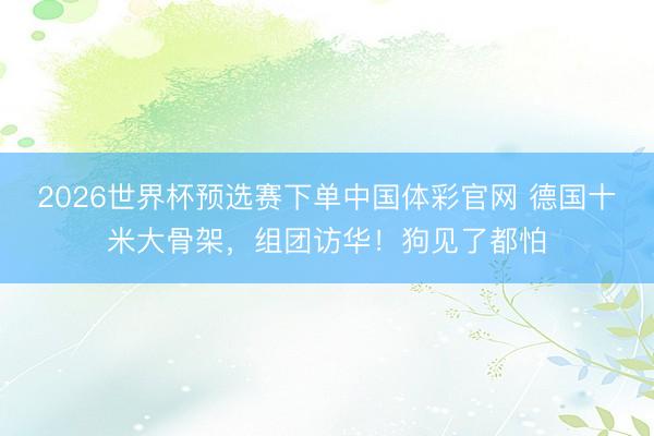 2026世界杯预选赛下单中国体彩官网 德国十米大骨架，组团访华！狗见了都怕