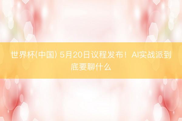 世界杯(中国) 5月20日议程发布！AI实战派到底要聊什么