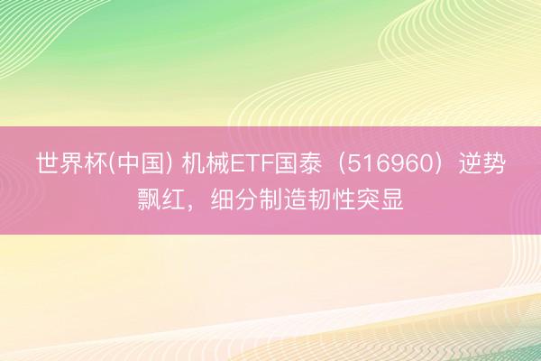 世界杯(中国) 机械ETF国泰（516960）逆势飘红，细分制造韧性突显