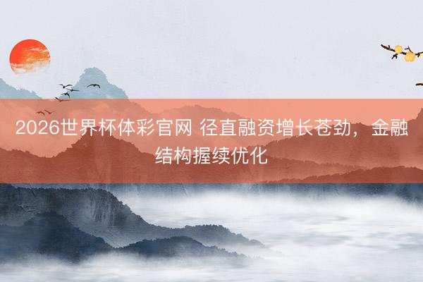 2026世界杯体彩官网 径直融资增长苍劲，金融结构握续优化