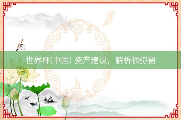 世界杯(中国) 资产建设，解析很弥留