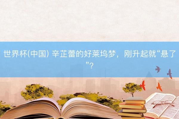 世界杯(中国) 辛芷蕾的好莱坞梦，刚升起就“悬了”？