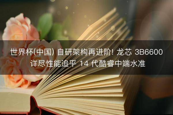 世界杯(中国) 自研架构再进阶! 龙芯 3B6600 详尽性能追平 14 代酷睿中端水准