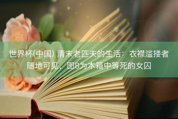 世界杯(中国) 清末老匹夫的生活:衣襟滥搂者随地可见,图8为木箱中等死的女囚