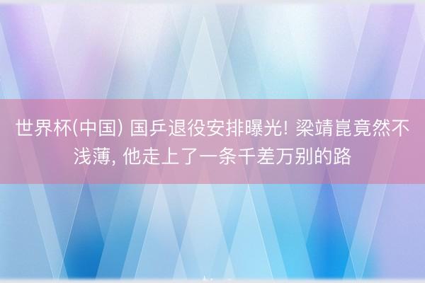 世界杯(中国) 国乒退役安排曝光! 梁靖崑竟然不浅薄， 他走上了一条千差万别的路