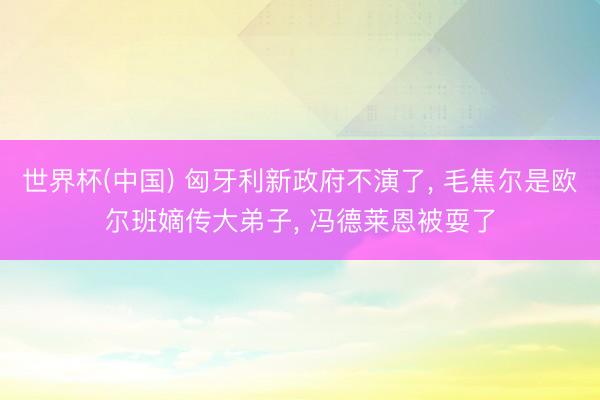 世界杯(中国) 匈牙利新政府不演了， 毛焦尔是欧尔班嫡传大弟子， 冯德莱恩被耍了