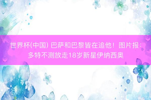 世界杯(中国) 巴萨和巴黎皆在追他！图片报：多特不测放走18岁新星伊纳西奥