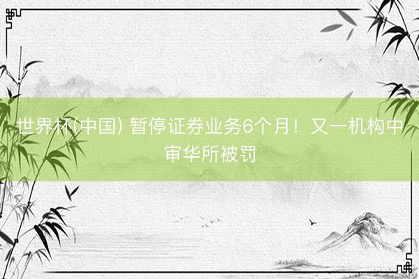 世界杯(中国) 暂停证券业务6个月！又一机构中审华所被罚