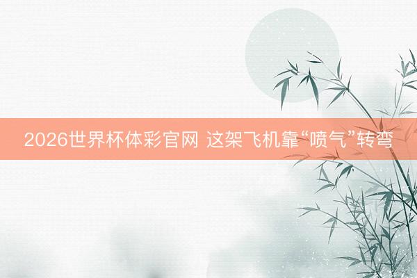 2026世界杯体彩官网 这架飞机靠“喷气”转弯