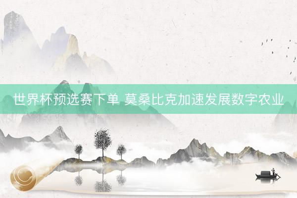 世界杯预选赛下单 莫桑比克加速发展数字农业