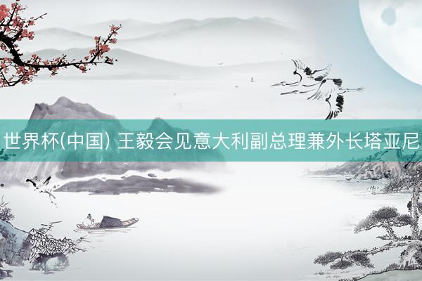 世界杯(中国) 王毅会见意大利副总理兼外长塔亚尼