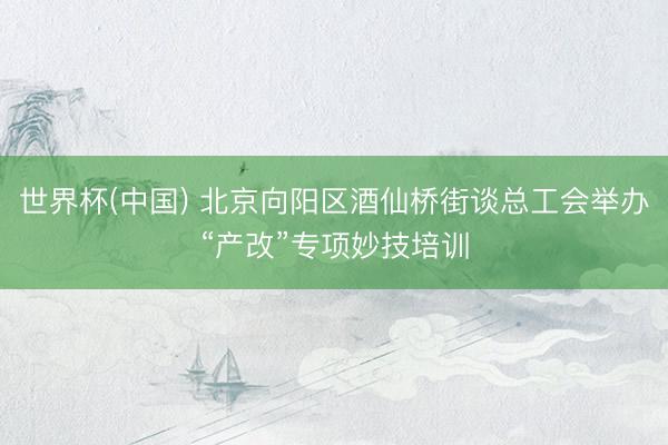 世界杯(中国) 北京向阳区酒仙桥街谈总工会举办“产改”专项妙技培训