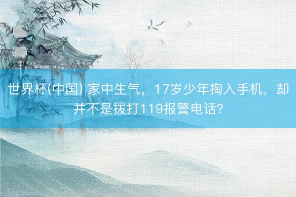 世界杯(中国) 家中生气，17岁少年掏入手机，却并不是拨打119报警电话？